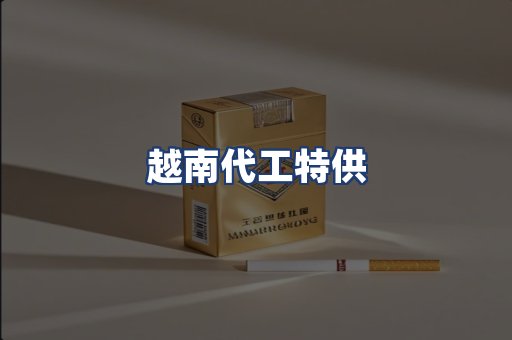 越南代工特供